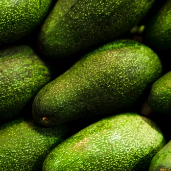 Avokado