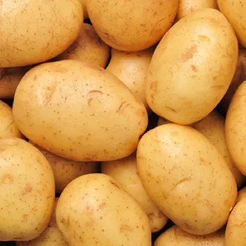 Patates