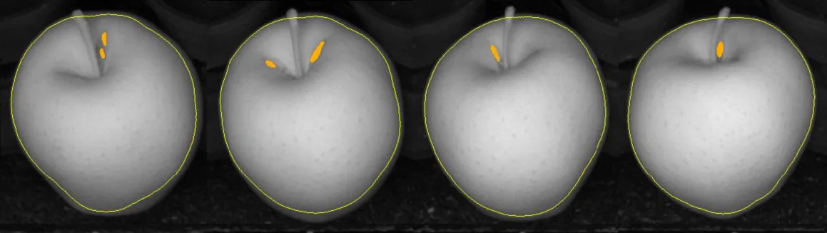 External quality detection