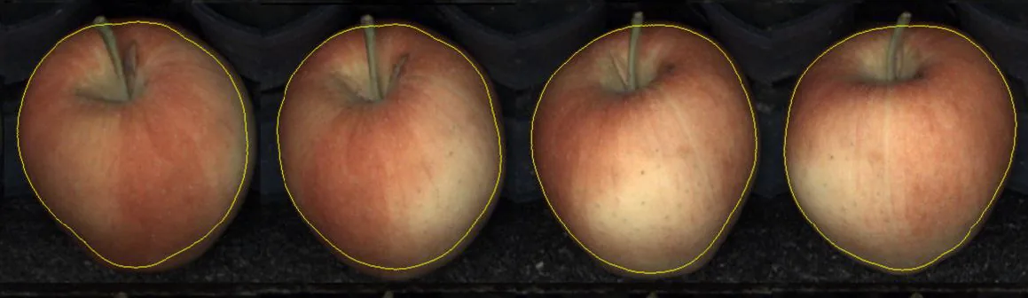 Internal Quality Detection System