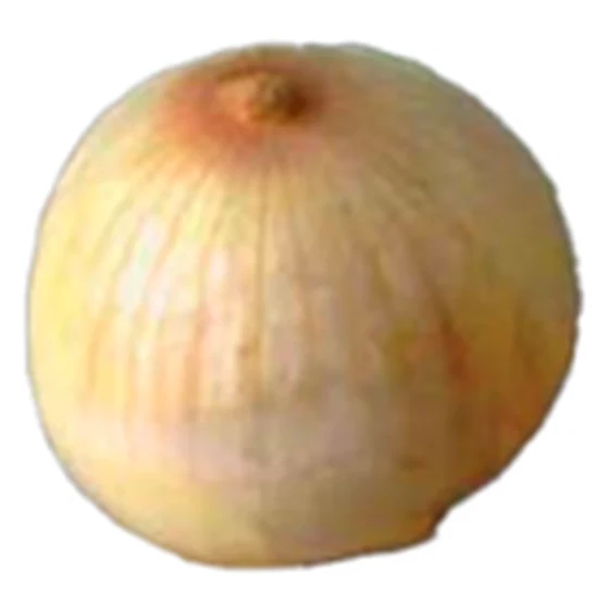 Лук — Солнечный ожог